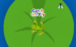 Image Catch the Fly